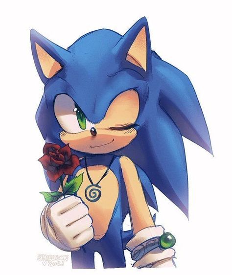 Sonic Boom Fanart, Stripes The Raccoon, Sonic Twitter, Sonic The Hedgehog Fanart, Sonamy Comic, Shadow And Amy, Hedgehog Movie, Sonic Fanart, Sonic Shadow