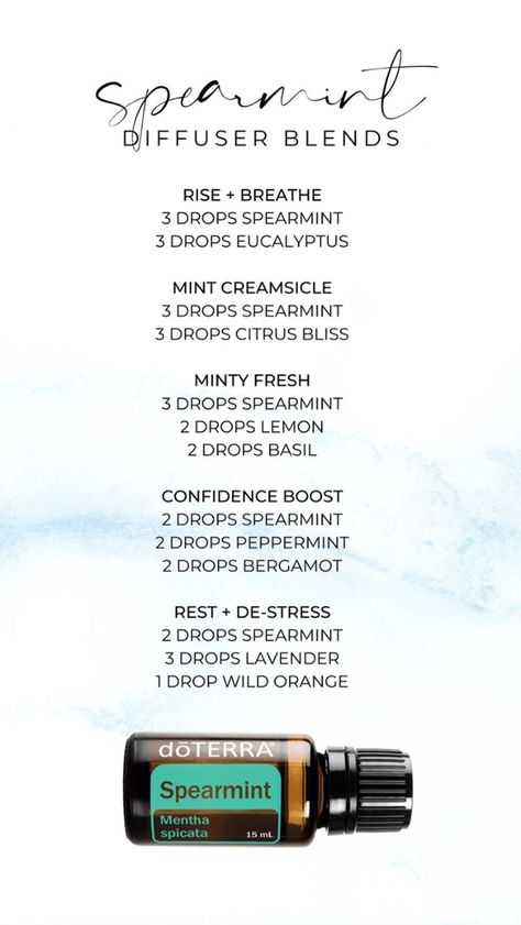 Spearmint Diffuser Blends, Eucalyptus Diffuser Blends, Nutmeg Oil, Beautiful Scented Candles, Doterra Diffuser Blends, Mint Essential Oil, Essential Oil Diffuser Blends Recipes, Spearmint Essential Oil, Eucalyptus Mint