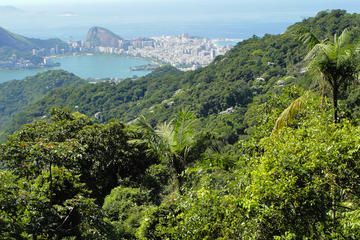 Tijuca National Park Tours, Trips & Tickets - Rio de Janeiro Attractions | Viator.com Tijuca National Park, National Park Hikes, Christ The Redeemer Statue, Ipanema Beach, Copacabana Beach, Christ The Redeemer, America Latina, Travel Collection, Cheap Travel