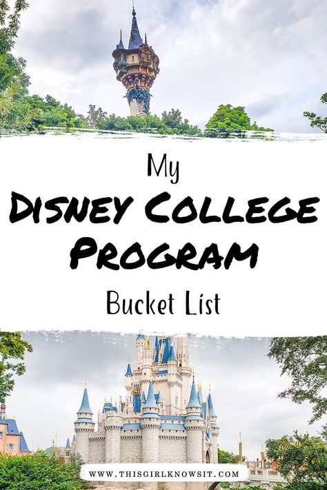 Disney Cultural Exchange Program, Disney College Program Aesthetic, University Advice, Disney Internship, College Bucket List, Disney Bucket List, Florida College, School Lifestyle, College Club