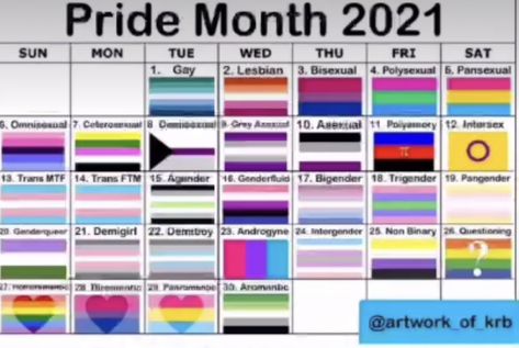 Pride Month Calendar, Lgbtq Flags, Lgbt Flag, Lesbian Flag, Bloxburg Decal Codes, Teen Fiction, Pride Month, Emotional Wellness, Fanfiction