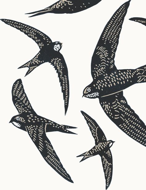 This is an A3 poster-print entitled 'Swifts' printed in dark grey and light brown.  As well as the many swallows I see a lot round where I live, I also see a lot of swifts! They actually look quite different from each other when you study their detail. Rather than go for a single bird this time, and one standing (which I'm not sure I've ever seen them doing!), I wanted to capture them in flight, and in the acrobatic troops you sometimes see them in.  The poster is a professional digital print of Flock Of Birds Illustration, Swifts Birds, 30s House, Moms Tattoo, Swift Bird, Spiral Art, Linocut Printmaking, Birds Print, Bird Poster