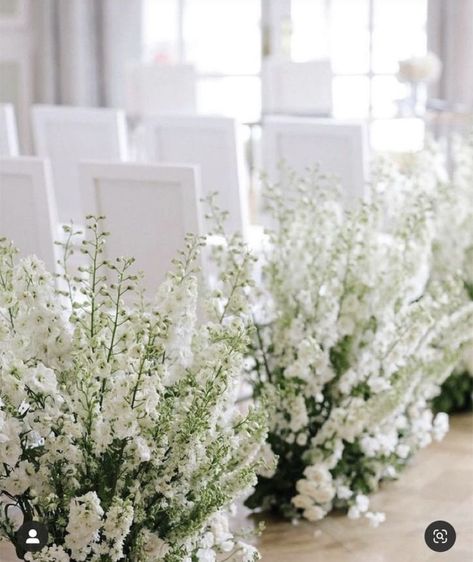 Aisle Meadows, Aisle Florals, White Delphinium, White Larkspur, Aisle Flowers, Spring Wedding Flowers, Ceremony Inspiration, Meadow Flowers, Aisle Decor