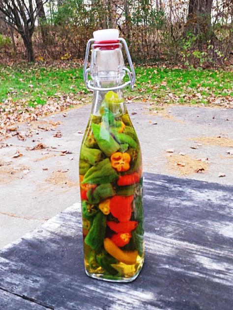 Easy Pepper Sauce Recipe, How To Preserve Ghost Peppers, Recipes With Ghost Peppers, Hot Pepper Vinegar Recipes, What To Do With Ghost Peppers, How To Make Pepper Sauce, Scorpion Pepper Recipes, Pepper Sauce Recipe Vinegar, Pepper Oil Recipe