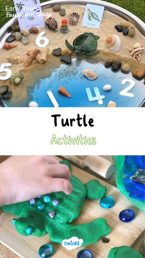 Some lovely activities thanks to Jodie Williams Childminding for world turtle day or any learning about turtles eyfs. World Turtle Day Activities, Under The Sea Artwork, Sea Turtle Craft, Turtle Life Cycle, Turtle Activities, Potato Printing, Diy Turtle, Oviparous Animals, Turtle Craft