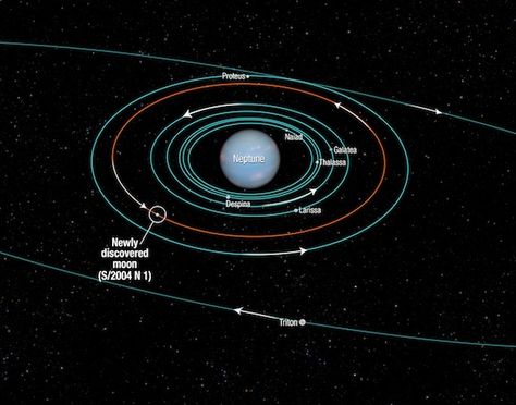 NASA Hubble finds new Neptune moon Neptune Facts, The Neptunes, Neptune Planet, Hubble Space Telescope Images, Moon Orbit, Nasa Hubble, Hubble Telescope, Hubble Space, Science Project