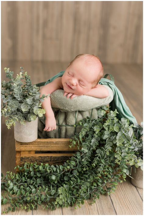 Newborn baby Lewis posed in a bucket surrounded by eucalyptus plants | CB Studio Newborn Theme, Sage Green And Grey, Foto Newborn, Newborn Photography Boy, Newborn Studio, Newborn Baby Photoshoot, Boy Newborn, Toddler Photography, Newborn Poses