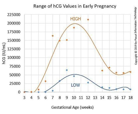 High and Low Pregnancy HCG Levels Hcg Levels By Week Pregnancy, Hcg Levels, Early Stages Of Pregnancy, First Ultrasound, Assisted Reproductive Technology, Pregnancy Progression, Gestational Age, Early Pregnancy, Pregnancy Hormones