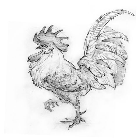 Rooster Illustration, Cartoon Rooster, Chicken Drawing, Cartoon Drawings Of Animals, Pencil Drawings Of Animals, Observational Drawing, Comic Book Art Style, Rooster Art, Best Drawing