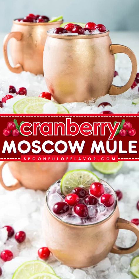 Are you looking for easy fall drinks? Learn how to make this cranberry moscow mule recipe! It is easy even for beginners. This Moscow mule recipe can make your party more enjoyable. Add this simple fall cocktail to your list of must-tries! Apple Cranberry Moscow Mule, Simple Moscow Mule Recipe, Non Alcoholic Moscow Mule Recipe, Virgin Moscow Mule Recipe, Autumn Mule Recipe, Festive Moscow Mule, Fall Moscow Mule Drinks, Thanksgiving Mule Cocktail, Moscow Mule Batch Recipe