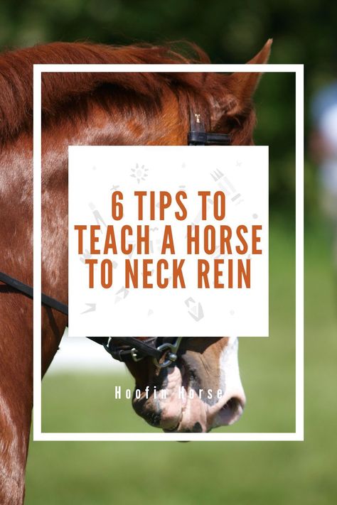 Neck reining is one of the most useful skills in horse riding. Not only does it tell the horse where to go but also frees up one hand so you can open gates, swish away flies, get something from your saddlebag, pat your horse, etcWhile it is not a complicated technique, neck reining does require some training for the ride to be successful. https://www.hoofinhorse.com/how-to-teach-a-horse-to-neck-rein/ Horse Guide, Open Gates, Horse Grooming Kit, Useful Skills, Horse Riding Shirt, Horse Riding Pants, Horse Riding Helmets, Riding Vest, Horse Saddle Pads