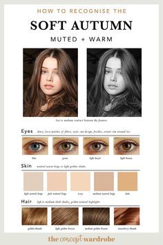 Seasonal Colour Analysis, Soft Autumn Makeup, The Concept Wardrobe, Concept Wardrobe, Soft Autumn Palette, Deep Autumn Color Palette, Autumn Skin, Soft Autumn Color Palette, Light Brown Skin