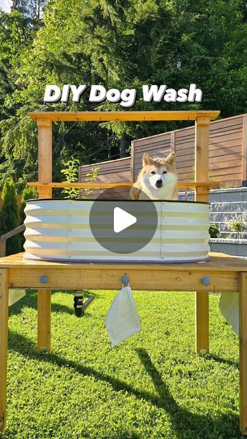 Dog Bath Garage, Diy Dog Bathing Station Outdoor, Diy Dog Tub, Dog Bathing Station Outdoor, Dog Bath Ideas, Dog Shower Outdoor, Dog Wash Station Outdoor, Outdoor Dog Shower Ideas, Outside Dog Washing Station