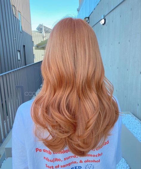 Daphne Hair Color, Strawberry Peach Blonde Hair, Peach Orange Hair Color, Strawberry Blonde Hair On Olive Skin, Strawberry Blonde Inspiration, Dyed Ginger Hair Strawberry Blonde, Strawberry Blonde Light Hair, Blond Strawberry Hair, Orange Blonde Hair Color