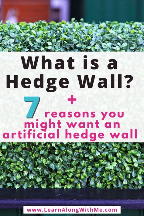 What is a hedge wall? And 7 reasons you might want an artificial hedge wall.  Hedge walls have gotten really popular as wedding backdrops but they can also make great privacy screens. Artificial Hedge Wall, Best Privacy Fence, Faux Privacy Fence, Cedar Hedge, Boundry Wall, Boxwood Hedge Wall, Privacy Fence Ideas, Hedge Wall, Yard Privacy