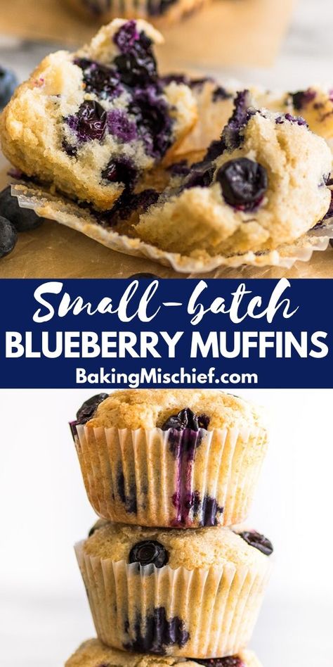 Blueberry Muffins From Scratch, Muffin Base, Mini Blueberry Muffins, Small Batch Baking, Best Blueberry Muffins, Moist Muffins, Blueberry Coffee, Lemon Blueberry Muffins, Dessert For Two