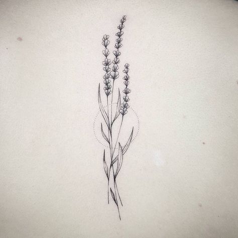 Pin by charlotte! on tattoo 4 momma: lavender | Lavender tattoo, Botanical tattoo, Flower tattoos Sam Tattoo, Botanisches Tattoo, Lavender Tattoo, Wildflower Tattoo, Handpoke Tattoo, Botanical Tattoo, Dainty Tattoos, Sister Tattoos, Fine Line Tattoos