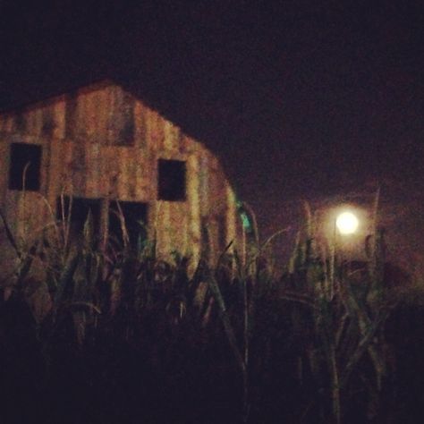 Hallows eve. Dark Rural Aesthetic, Haunted Farm Aesthetic, Tcm Aesthetic, District 11 Aesthetic, Southern Gothic Aesthetic, Midwest Emo, American Gothic, Southern Gothic, Gothic Aesthetic