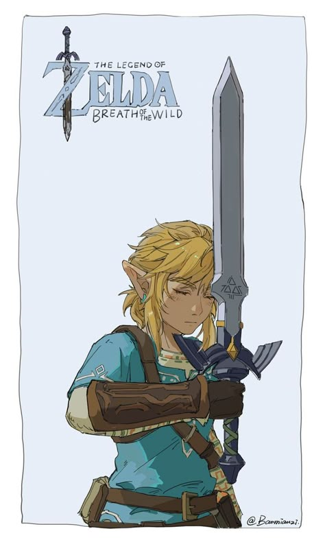 Link Breath Of The Wild, Link Botw, Legend Of Zelda Link, Link Cosplay, Twitter Link, Link Art, Zelda Breath Of The Wild, Animation Art Sketches, Link Zelda