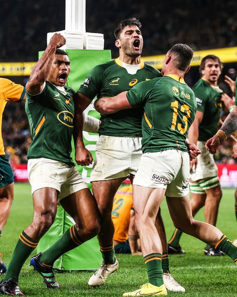 Damian Willemse Rugby, Springboks Wallpaper, Spring Bokke Rugby, England Rugby Wallpaper, Springbok Rugby Wallpaper, Damian Willemse, Springbok Rugby Players, Springboks Rugby South Africa, Rugby South Africa