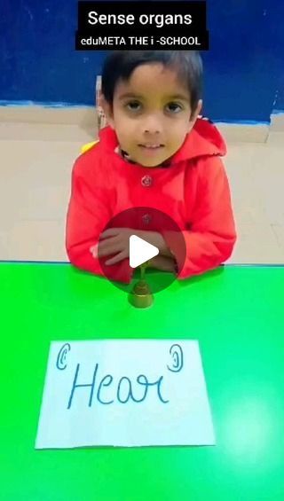 Activity For Pre Nursery, Sense Activity For Preschool, Sense Organs For Kindergarten, Sense Organs Activities, My Senses Activities Preschool, Pre Nursery Activities, Sense Organs Worksheets, 5 Senses Craft, Sense Organs