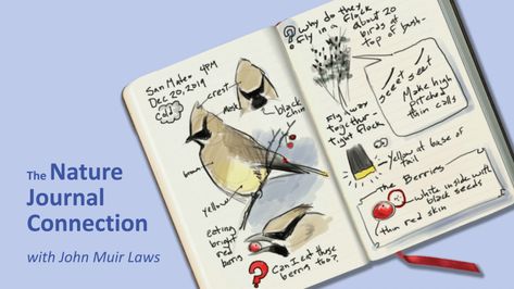 John Muir Laws, Nature Journaling, Steam Activities, Homeschool Learning, Nature Drawing, John Muir, Nature Study, Word Pictures, Explore Nature