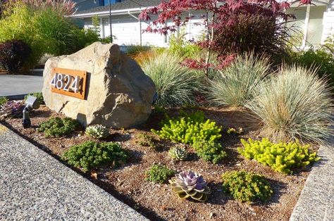 succulents and boulder with address, front yard ideas Address Rock Landscaping, Boulder Landscaping Ideas Front Yard, Subdivision Landscaping Front Yards, Address Stone Landscaping, Front Yard Address Sign Ideas, Address Rocks Front Yards, House Number On Rock, Address Sign Ideas Front Yards, Address On Rock House Numbers