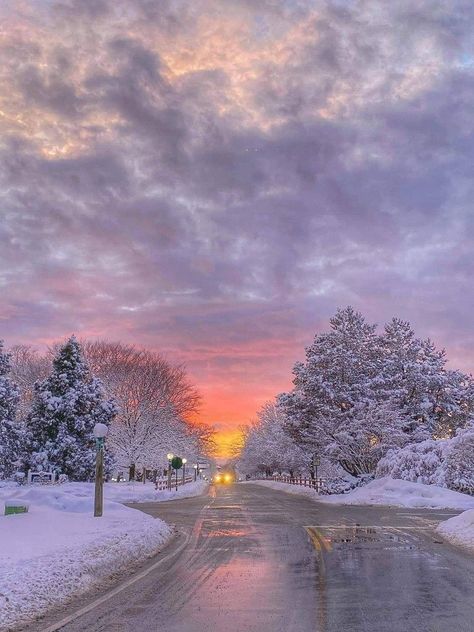 Whisper Background, Really Cool Wallpapers, Holiday Iphone Wallpaper, Morning Winter, Winter Road, Snowy Trees, Sunset Background, Winter Morning, Snapchat Picture