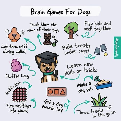 Brain Games 4 Dogs by Vi For Dogs Stuff, Active Dog Activities, Puppy Bucket List, Fun Activities To Do With Dogs, Husky Enrichment, Where Do Dogs Like To Be Petted, Small Dog Enrichment, Sniffing Games For Dogs, Activities To Do With Dogs