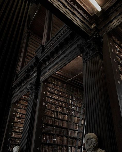 Haunted Academia, Neoclassical Architecture Interior, Art Academia Aesthetic, Abandoned Library, Malfoy Manor, Dark Ivy, Worlds Colliding, Vampire Gothic, Art Academia