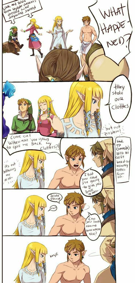 Zelda Fi, Hyrule Warriors Link, Toon Link, Hyrule Castle, Zelda Skyward, Legend Of Zelda Memes, Zelda Funny, The Wind Waker, Hyrule Warriors