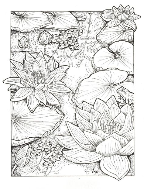 Habitats - Black & White on Behance Disney Traceable Drawings, Nature Mandalas Coloring Book Melpomeni, Traceable Drawings To Paint, Floral Sketch Drawing, Lotus Sketch, Pencil Color Drawing, Lotus Drawing, Floral Pattern Art, Sketch Pattern