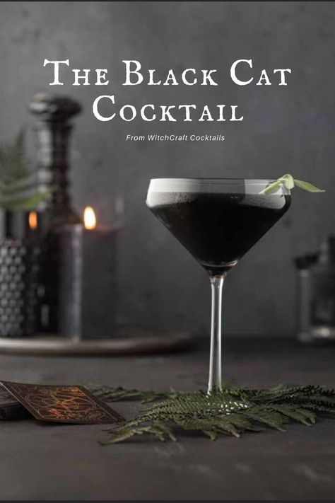 Black Cat Cocktail, Dark Academia Cocktail, Cat Themed Cocktails, Gothic Cocktails, Witchcraft Cocktails, Samhain Party, Samhain Ideas, Crazy Drinks, Cat Cocktail