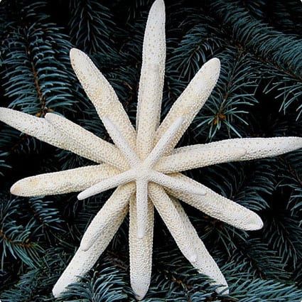 34 Most Creative Christmas Tree Toppers of All Time - Miss Wish Best Christmas Tree Toppers, Starfish Tree Topper, Christmas Tree Toppers Unique, Nautical Christmas Tree, Diy Tree Topper, Beach Christmas Trees, Xmas Tree Toppers, Beach Christmas Decorations, Coastal Christmas Decor