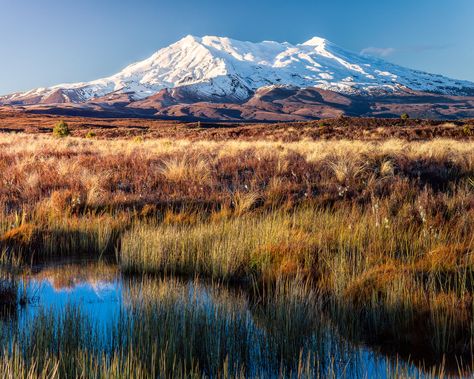 Nz Scenery, Mt Ruapehu, Nz Landscape, Landscape Pics, Painting References, New Zealand Landscape, Scenery Landscape, Inspiration Photos, Mountain Paintings