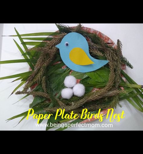 Bird nest made on paper plate with some twigs and leaves, eggs shown with pom pom and a paper bird, super easy and fun for your kids craft. Bird Nest Crafts, Paper Plate Bird Nest, Paper Plate Birds, Paper Plate Bird, Bird Nest Craft, Bird Craft, Paper Bird, Bird Eggs, Paper Birds