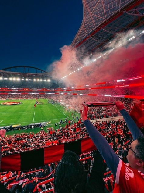 Benfica Aesthetic, Liverpool Stadium, Manchester United Old Trafford, Ynwa Liverpool, Milan Wallpaper, Liverpool Anfield, Benfica Wallpaper, Crvena Zvezda, Albanian Culture