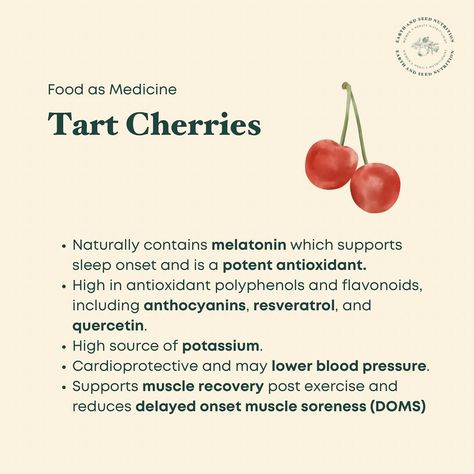 Tart cherries (or sour cherries) are great for sleep because of the melatonin they contain, but their therapeutic benefits don’t end there! Tart cherries, formally known as montmorency cherries, are a powerhouse of antioxidants 🍒 This means they can support a range of health conditions by reducing inflammation and oxidative stress, and by improving sleep. Foods that are high in polyphenols also support gut health by reducing inflammation in the gut and encouraging diversity in the gut mi... Cherry Meaning, Cherries Health Benefits, Tart Cherry Benefits, Health Benefits Of Cherries, Montmorency Cherry, Improving Sleep, Sour Cherries, Tart Cherries, Reducing Inflammation