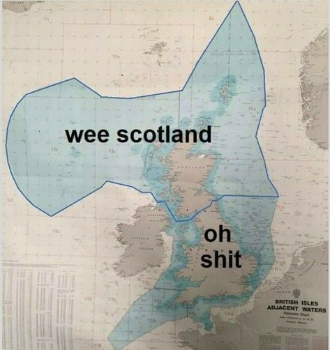 All that land is ours. All that sea is ours. All the oil in it should be ours. All the wave and wind energy is ours. All the fishing is ours. NOT Westminsters. Not England's.  Ours. Scotland's. So much potential right here on our doorstep. Being stolen by the Tory crooks down south. Too wee? No way!! Independence NOW. #IndyRef2 Scottish Jokes, Oor Wullie, Scottish Phrases, Scottish Quotes, Scottish Independence, Scotland Forever, Bonnie Scotland, Scottish Castles, Wind Energy