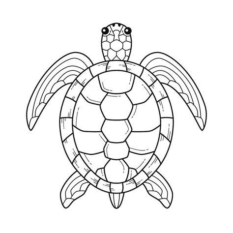 Turtle Coloring Pages Free Printable, Sea Turtle Coloring Pages, Turtle Outline, Turtle Coloring, Turtle Tattoo Designs, Animal Outline, Turtle Coloring Pages, Turtle Drawing, Stencil Fabric