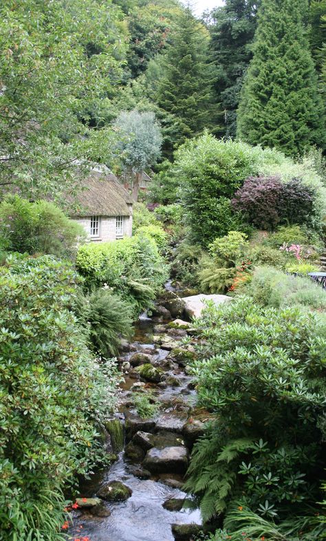 Cottage by the water in Devon England! Cottages England, English Cottages, Devon England, Thatched Cottage, Small Cottage, English Cottage, English Countryside, British Isles, Cozy Cottage