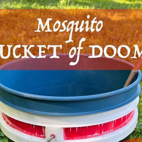 Jo Brichetto (SidewalkNature.com) on Instagram: "My Mosquito Bucket of Doom DIY is an old idea with a new name. SAFE, cheap, effective mosquito control: as opposed to yard-sprays that are *none* of the above. 

-Step 1: Get rid of all standing water.
-Step 2: Create standing water! (But only in the Bucket of Doom.)
-Step 3: Add ¼ of BTi dunk, one fistful of weeds, and an escape ramp (a stick)
-Step 4: Tell your neighbors!

You can watch pregnant mosquitoes lay eggs that will never survive to adulthood. You can see the wigglers (larvae), but never the tumblers (pupae).

Keep the Bucket of Doom away from living areas, as it does attract nearby mosquitoes. I put mine near the compost pile. 
.
Safe for all beneficial insects & arthropods, birds, mammals, reptiles. 
.
For details, see my post a Doug Tallamy, Compost Pile, Mosquito Control, Beneficial Insects, New Names, A Stick, Spray, Yard, Instagram