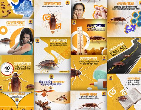 https://www.behance.net/gallery/171239047/Social-media-post-design-(Chaya-pest-control) Pest Control Social Media Post, Pest Control Creative Ads, Pest Control Ads, Farm Social Media, Insect Hotel, Social Media Post Design, Creative Graphics, Pest Management, Pest Control Services