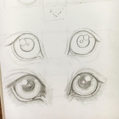 Sketch of dog eyes How To Draw Dog Eyes Step By Step, Dog Eye Drawing, Dog Eyes Drawing, Sketch Of Dog, Realistic Animal Drawings, Eye Sketch, Dog Sketch, Dog Eyes, Dog Drawing