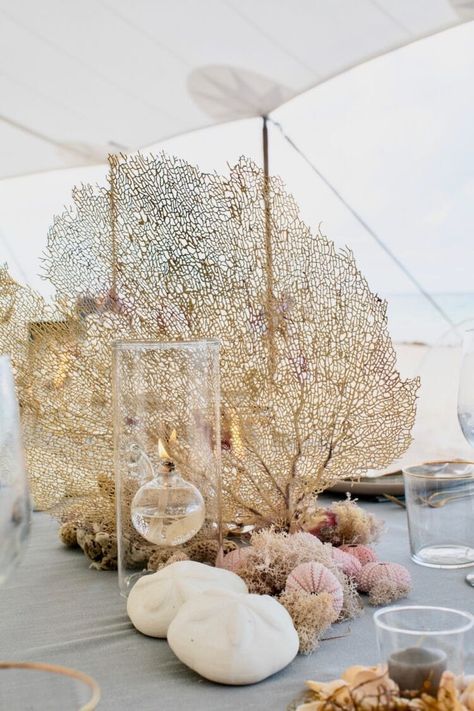 Wedding Centerpeices, Ocean Wedding Theme, Sarah Winward, Shell Centerpieces, Beach Wedding Tables, Oceanside Beach, Seashell Wedding, Beach Table, Sea Wedding