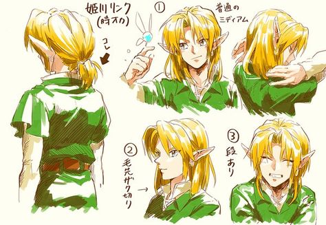 LoZ Ocarina of Time Link's Ponytail Oot Link, Legend Of Zelda Characters, Zelda Skyward, My Father's Daughter, Zelda Funny, Majoras Mask, Link Zelda, Zelda Art, Ocarina Of Time