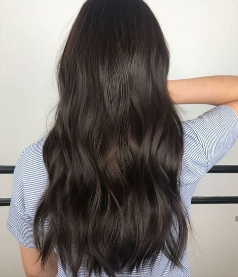 Warm brown black #avedamadison Warm Black Hair, Rambut Brunette, Balayage Blonde, Black Hair Color, Brown Blonde Hair, Penteado Cabelo Curto, Brown Hair With Highlights, Skateboarder, Haircuts For Long Hair