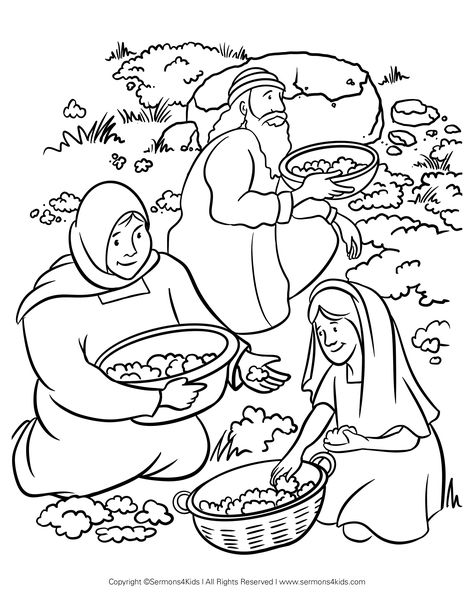 Manna From Heaven, Sunday School Coloring Pages, Kids Sunday School Lessons, Bible Object Lessons, Childrens Sermons, Bible Story Crafts, Preschool Coloring Pages, Bible Stories For Kids, Bible School Crafts