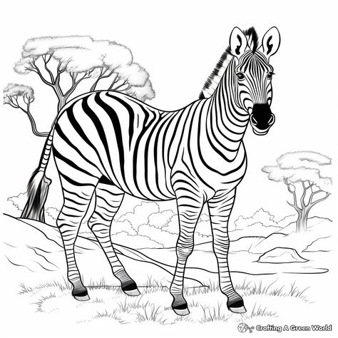 Zebra Easy Drawing, Zebra Coloring Pages Free Printable, Zebra Drawing Sketches Pencil, Zebra Sketch, Zebra Cartoon Drawing, Zebra Sketch Pencil, Zebra Coloring Pages, Zebra Drawing, Kindergarten Coloring Pages