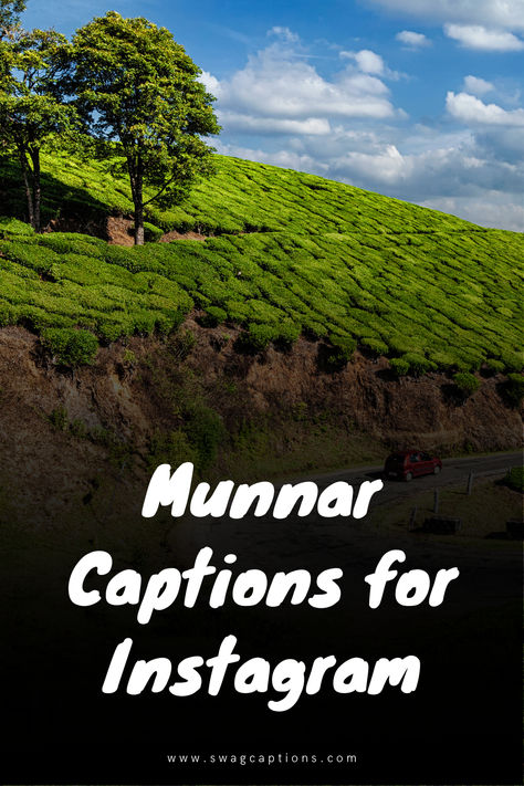 Embrace the serene vibes of Munnar through your Instagram captions. From sunrise hues to tea-scented breezes, narrate your Munnar journey effortlessly. Munnar Captions For Instagram, Vacation Captions, Instagram Post Captions, Of Captions, Tea Estate, Aesthetic Captions, Travel Captions, Quotes For Instagram, Munnar